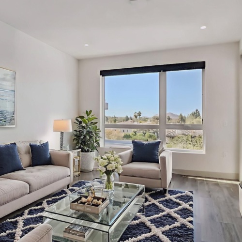 Open space living area with natural lighting