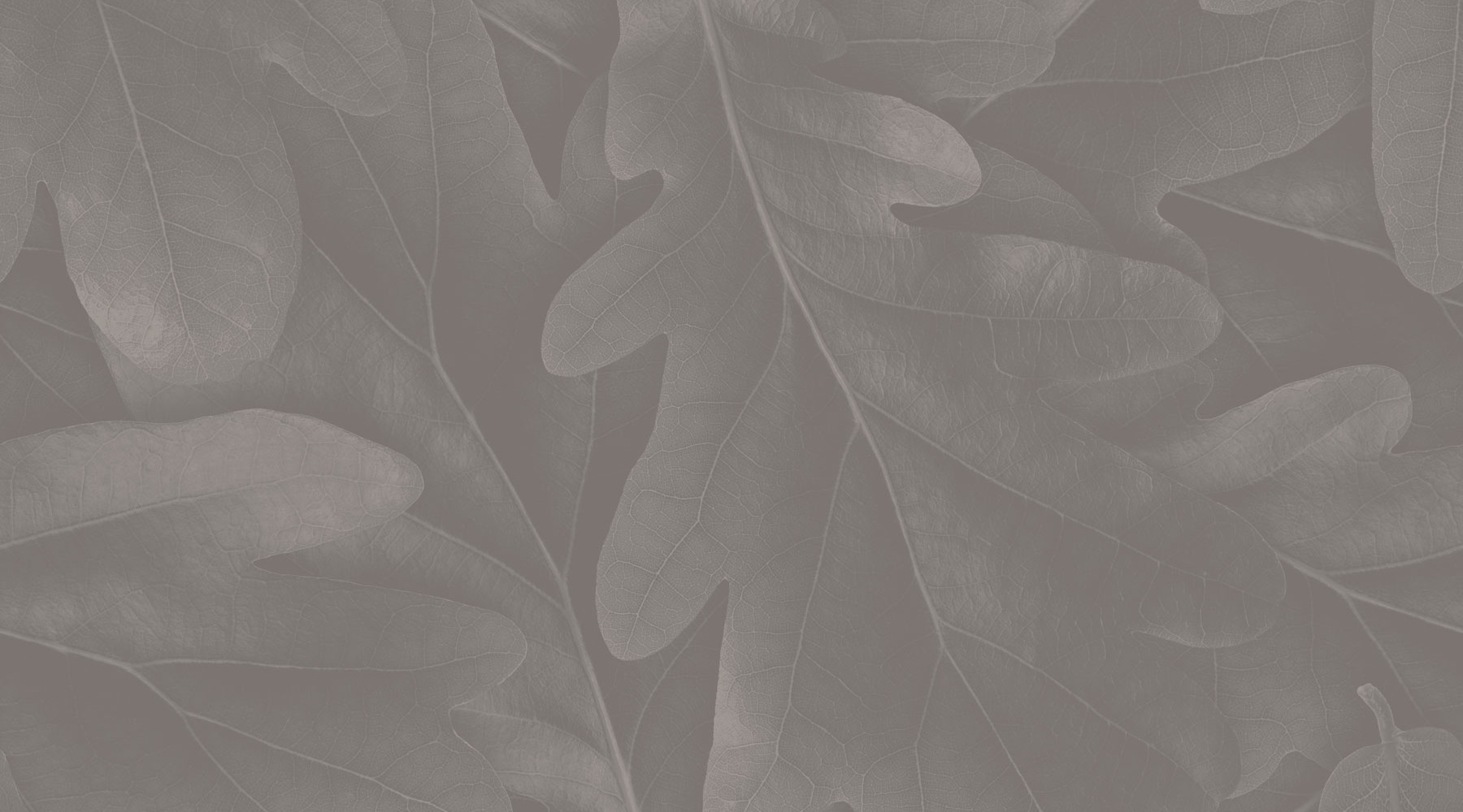 edited graphic of leafs representing the textural materials seen throughout the property